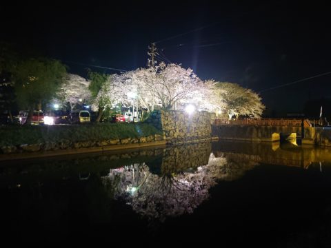 夜桜🌸Running